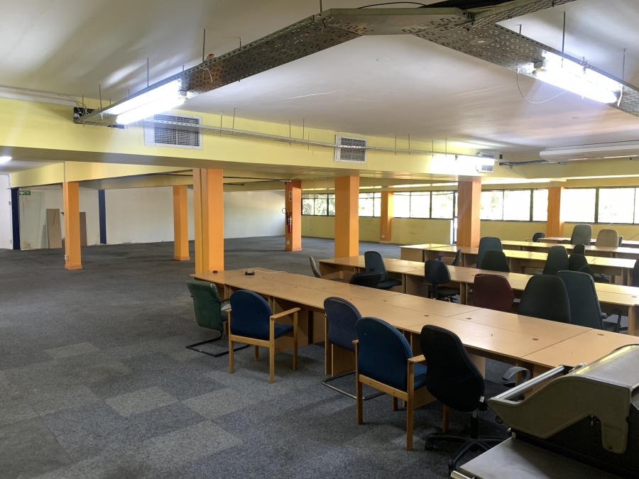 To Let commercial Property for Rent in Rondebosch Western Cape